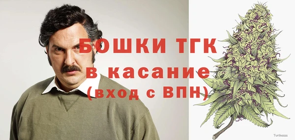PSILOCYBIN Армянск